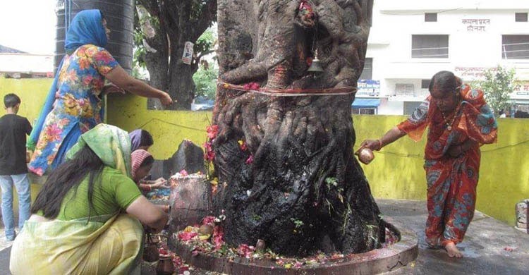 সনাতন ধর্মে পবিত্র মনে করা হয় যেসব গাছ সনাতন ধর্মে পবিত্র মনে করা হয় যেসব গাছ