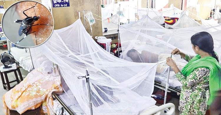 ডেঙ্গুতে আরও ২ মৃত্যু, হাসপাতালে ৮৫৪ জন ডেঙ্গুতে আরও ২ মৃত্যু, হাসপাতালে ৮৫৪ জন