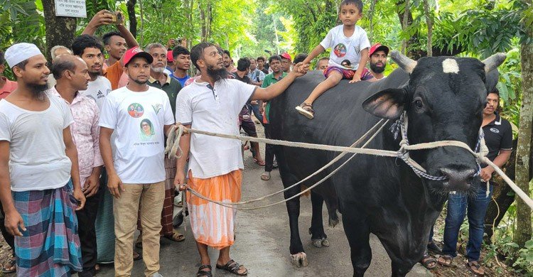 খালেদা জিয়াকে ‘কালোমানিক’ উপহার দিতে ঢাকার পথে কৃষক