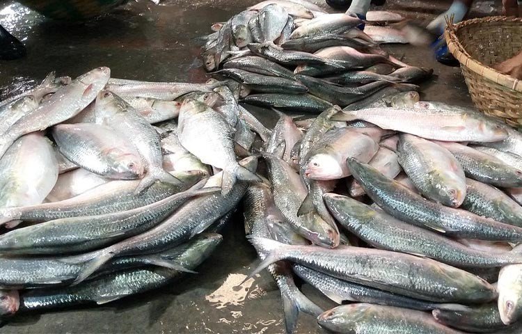 ঘোরাঘুরি
