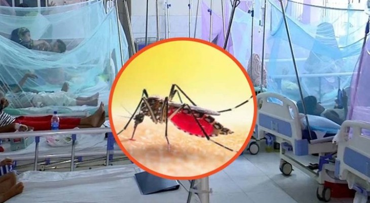ডেঙ্গুতে এক দিনে সর্বোচ্চ ৫ জনের মৃত্যু, হাসপাতালে ভর্তি ১৫৯