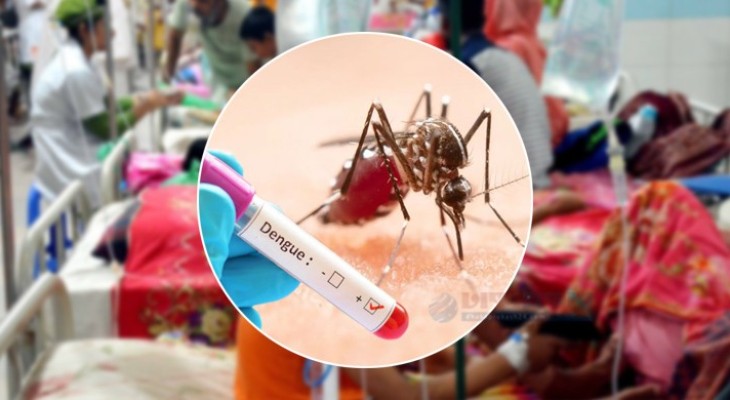 ডেঙ্গুতে আরও একজনের মৃত্যু, ২৪ ঘণ্টায় নতুন শনাক্ত ২৪৯ জন