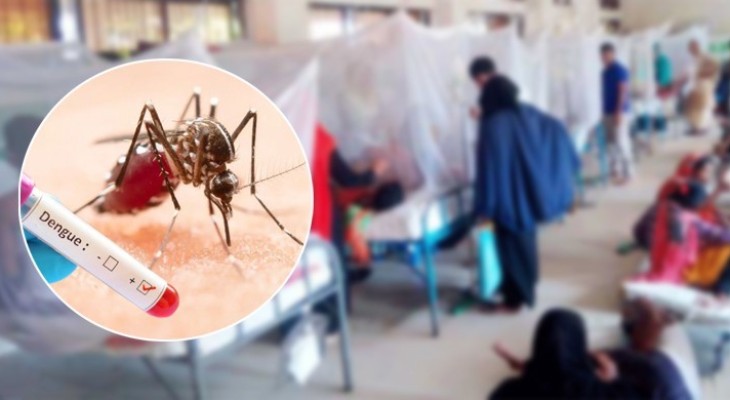 ডেঙ্গুতে আরও দুজনের মৃত্যু, নতুন শনাক্ত ১৫৯