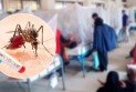 ডেঙ্গুতে একদিনে ৬ জনের মৃত্যু, হাসপাতালে ভর্তি ১ হাজার ৫৬১