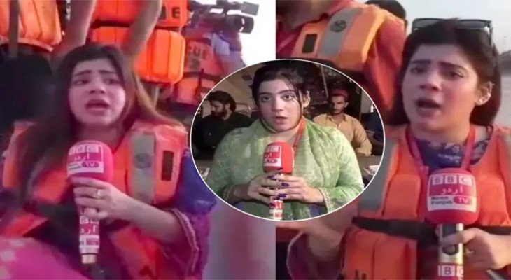 বিবিসি মানে ‘ভাই ভাই চ্যানেল’, আলোচনায় পাকিস্তানী সাংবাদিক