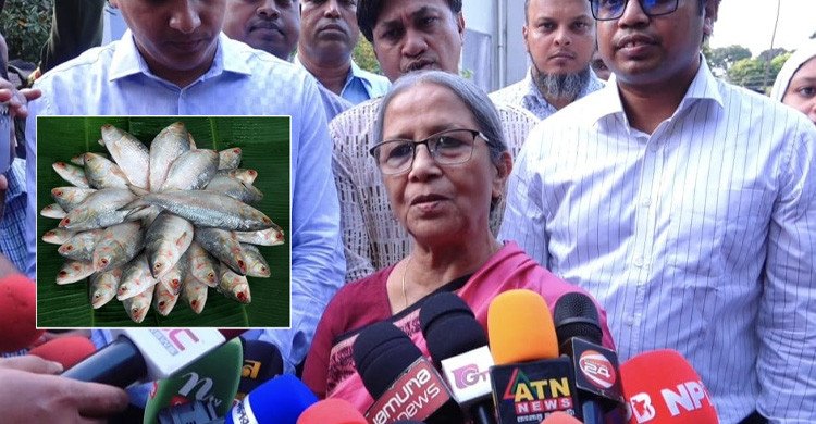 ইলিশ চলাচলের রাস্তাগুলো ভরাট, জাটকা নিধনে ধ্বংস হচ্ছে ইলিশ: ফরিদা আখতার