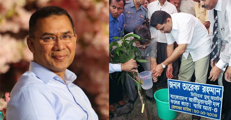 জাতীয় সবুজ মিশন চালুর ঘোষণা দিলেন তারেক রহমান