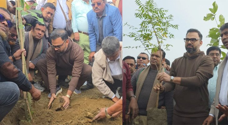 ৩০০ ফিটের ক্ষতিগ্রস্ত স্থানে বৃক্ষরোপণ করলো বিএনপি