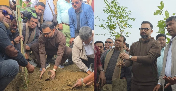 ৩০০ ফিটের ক্ষতিগ্রস্ত স্থানে বৃক্ষরোপণ করলো বিএনপি