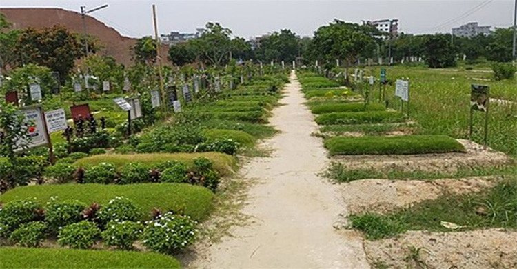 অজ্ঞাত ১১৪ জুলাই শহীদের পরিচয় শনাক্তে লাশ তোলা হবে রবিবার