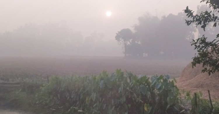 পঞ্চগড়ে বাড়ছে শীতের দাপট, টানা ৩ দিন তাপমাত্রা ১২ ডিগ্রির ঘরে