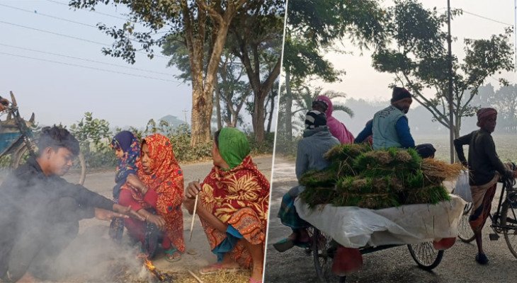 ৮ দশমিক ৭ ডিগ্রি তাপমাত্রায় কাঁপছে চুয়াডাঙ্গা, শৈত্যপ্রবাহে বিপর্যস্ত জনজীবন