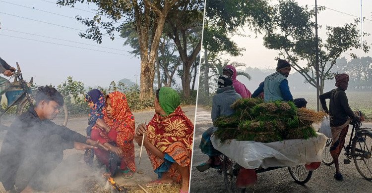 ৮ দশমিক ৭ ডিগ্রি তাপমাত্রায় কাঁপছে চুয়াডাঙ্গা, শৈত্যপ্রবাহে বিপর্যস্ত জনজীবন