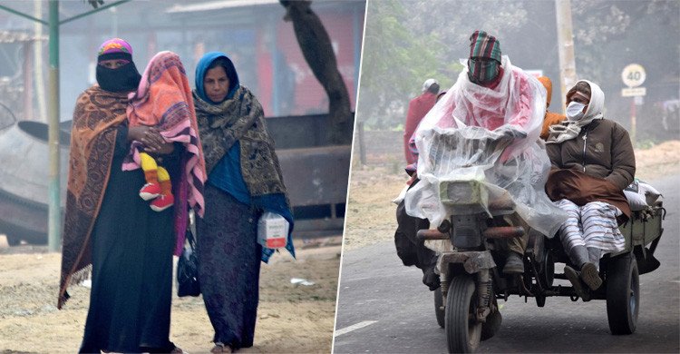 টানা শৈত্য প্রবাহে বিপর্যস্ত চুয়াডাঙ্গার জনজীবন