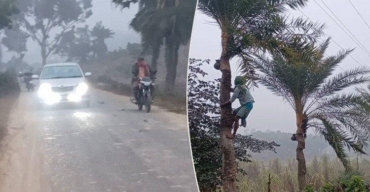 মৌসুমের সর্বনিম্ন তাপমাত্রায় কাঁপছে চুয়াডাঙ্গা, বইছে মাঝারি শৈত্যপ্রবাহ