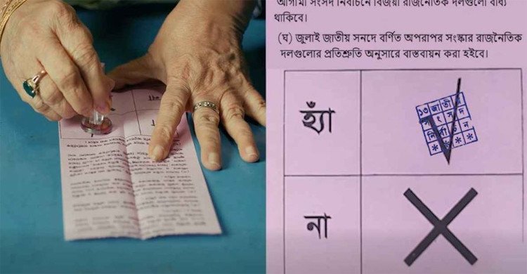 গণভোটে ‘হ্যাঁ’ জিতলে সংবিধানে আসবে যেসব পরিবর্তন