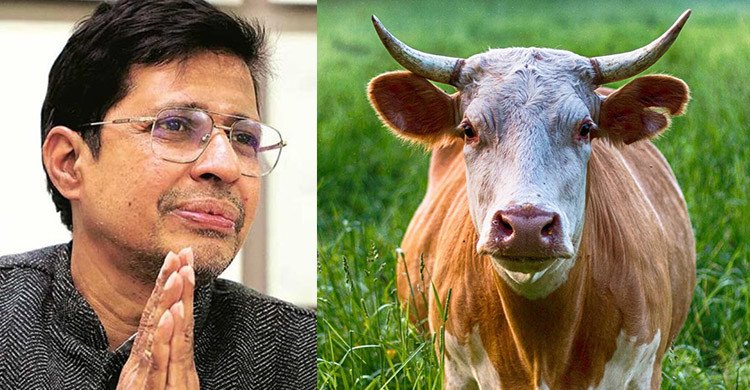ভারতে গোমূত্র গবেষককে পদ্মশ্রী সম্মান ঘোষণা, বিতর্ক তুঙ্গে