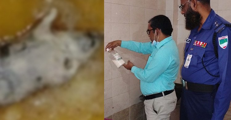 বেকারিতে ব্যবহৃত ডালডার মধ্যে মরা ইঁদুর, প্রতিষ্ঠানকে জরিমানা