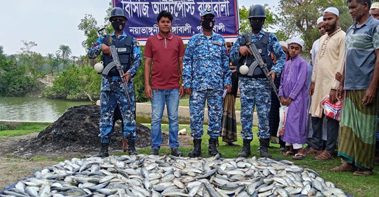 কোস্ট গার্ডের অভিযানে ২৮০ কেজি অবৈধ ইলিশ জব্দ