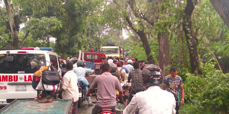 ঝড়ে গাছ উপড়ে আলমডাঙ্গা-চুয়াডাঙ্গা সড়কে দেড় ঘণ্টা যান চলাচল বন্ধ 