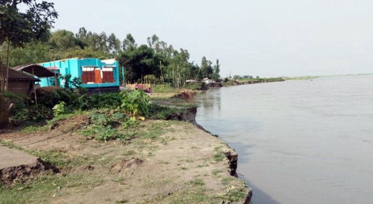 কুড়িগ্রামে ব্রহ্মপুত্র নদের ভাঙনে ৫০ ঘরবাড়ি বিলীন  