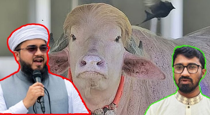 রাশেদ খাঁনকে চিড়িয়াখানায় মহিষ ‘ডোনাল্ড ট্রাম্পের’ পাশে রাখা হোক: হানজালা 
