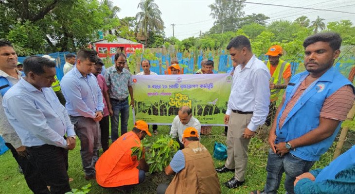 খাস জমিতে সবুজ স্বপ্নের বাস্তবায়ন, কুয়াকাটায় মিয়াওয়াকি ফরেস্ট উদ্বোধন  
