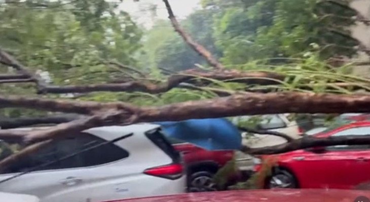 পশ্চিমবঙ্গে ঝড়-বজ্রপাতের তাণ্ডব, নিহত অন্তত ১৩ 