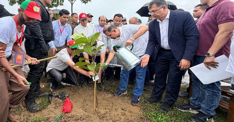 দেশব্যাপী ২৫ কোটি বৃক্ষরোপণ কর্মসূচির উদ্বোধন করলেন প্রধানমন্ত্রী তারেক রহমান