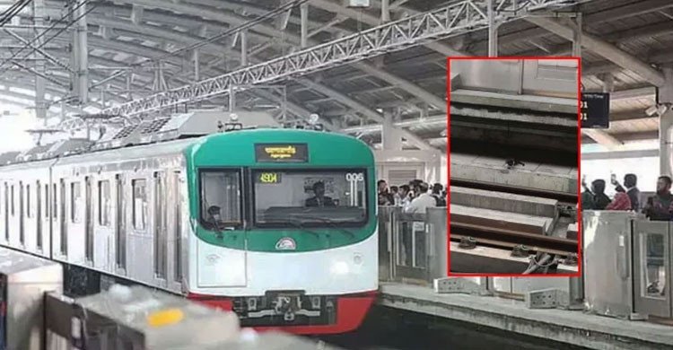 হাই-ভোল্টেজ ট্র্যাকে বিড়াল, মেট্রোরেল চলাচল সাময়িক বন্ধ 
