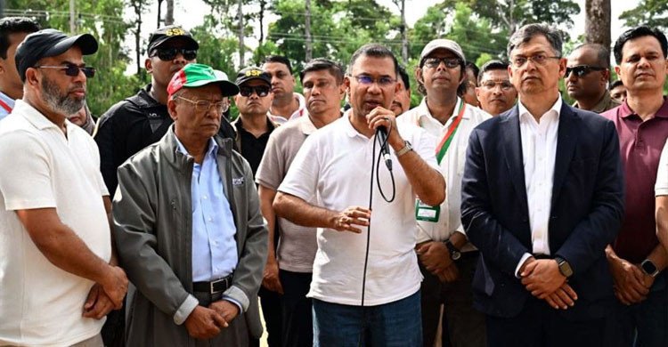 আসুন আমাদের সন্তানদের বুক ভরে শ্বাস নিতে একটি করে গাছ রোপণ করি: প্রধানমন্ত্রী  