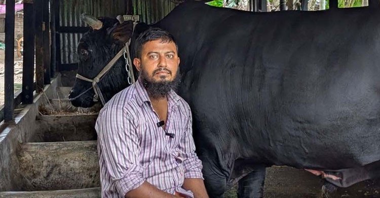 খালেদা জিয়াকে ‘কালো মানিক’ উপহার দিতে চাওয়া সোহাগ হত্যা ও পর্নোগ্রাফি মামলায় গ্রেফতার 