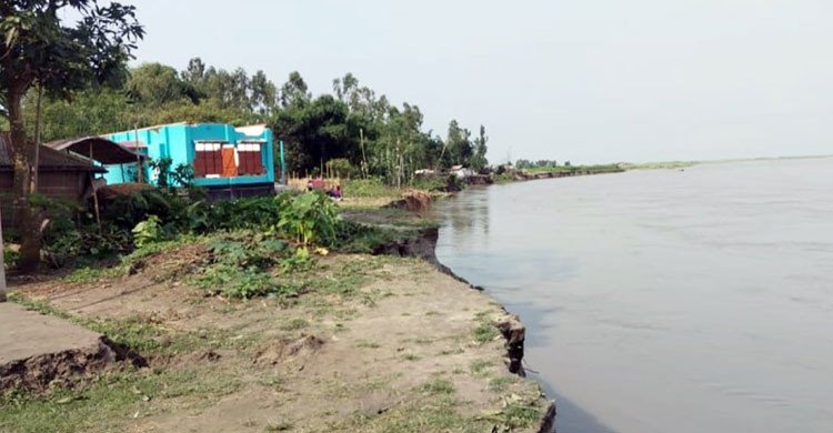 কুড়িগ্রামে ব্রহ্মপুত্র নদের ভাঙনে ৫০ ঘরবাড়ি বিলীন  