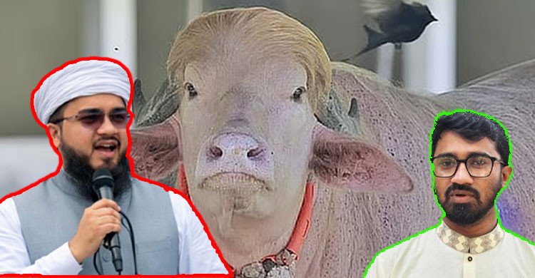 রাশেদ খাঁনকে চিড়িয়াখানায় মহিষ ‘ডোনাল্ড ট্রাম্পের’ পাশে রাখা হোক: হানজালা 