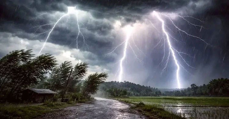 অজু করার সময় নরসিংদীতে বজ্রপাতে ৩ মাদ্রাসা শিক্ষার্থীর মৃত্যু  