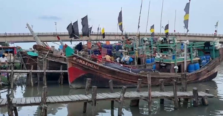 সাগরে মিলছে না কাঙ্ক্ষিত মাছ, হতাশায় ফিরছেন উপকূলের জেলেরা