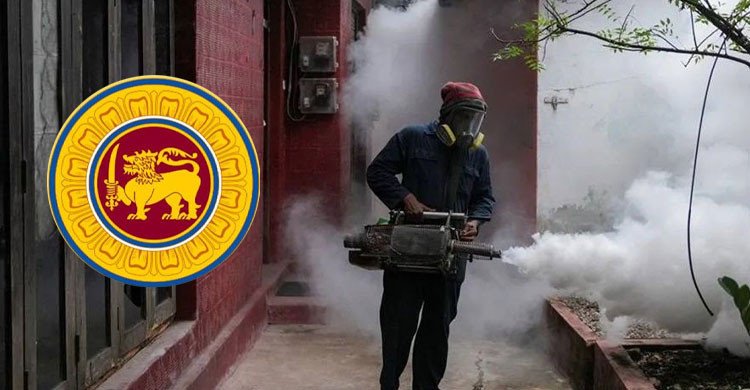 ডেঙ্গু মোকাবিলায় সেনাবাহিনী মোতায়েনের সিদ্ধান্ত নিয়েছে শ্রীলঙ্কা 