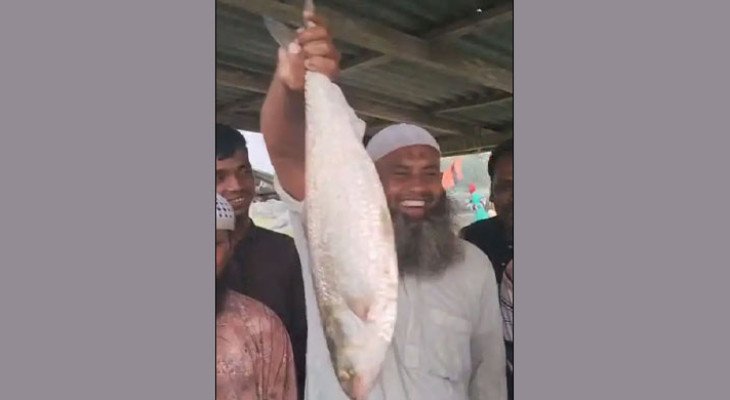 ভোলায় ২.৬ কেজি ওজনের ‘রাজা ইলিশ’ বিক্রি হলো ১১৬০০ টাকায়    