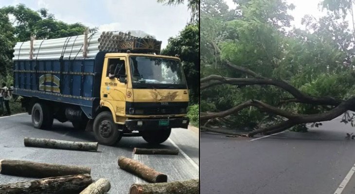 বিএনপি নেতা আসলাম চৌধুরীর প্রার্থিতা বাতিলের খবরে গাছ ফেলে মহাসড়ক অবরোধ   