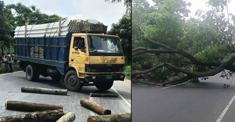 বিএনপি নেতা আসলাম চৌধুরীর প্রার্থিতা বাতিলের খবরে গাছ ফেলে মহাসড়ক অবরোধ   