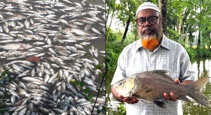 পেনশনের টাকায় ৩ পুকুরে মাছ চাষ, বিষ প্রয়োগে সব মাছ মেরে ফেলল দুর্বৃত্তরা