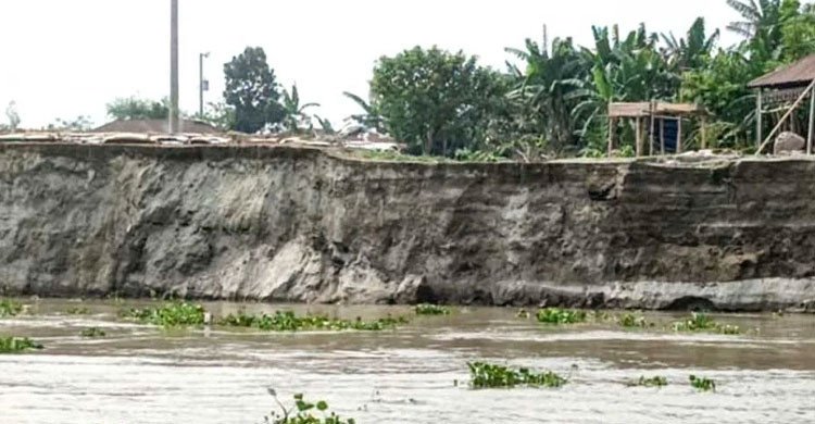 যমুনায় পানি বৃদ্ধির সঙ্গে বাড়ছে ভাঙ্গন, আতঙ্কে নদীপাড়ের বাসিন্দারা 