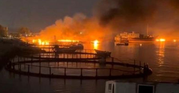মধ্যপ্রাচ্যে চরম উত্তেজনা: ইরানে টানা ৮ম রাতের মতো যুক্তরাষ্ট্রের হামলা