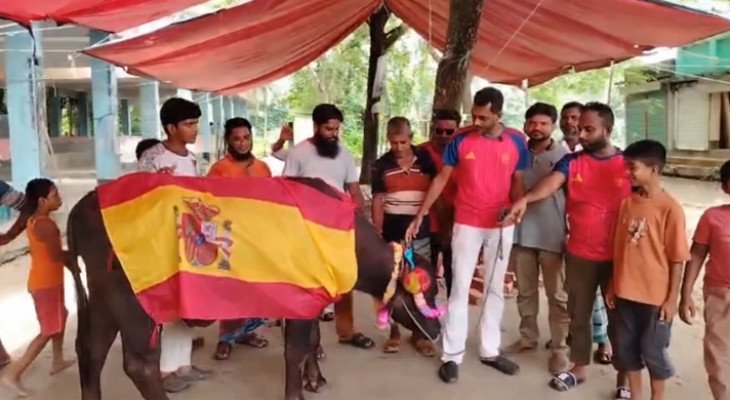 মাদারীপুরে দুই লাখ টাকার মহিষ দিয়ে ভূরিভোজের আয়োজন স্পেন সমর্থকদের