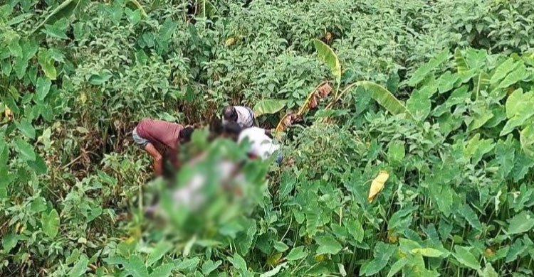 টাঙ্গাইলে বিধবা নারীকে অপহরণের অভিযোগ, একদিন পর ডোবায় মিলল মরদেহ