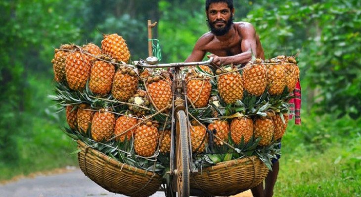 পাকিস্তানে রপ্তানি হবে বাংলাদেশের আনারস
