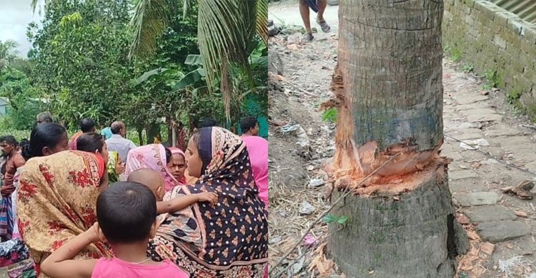 গাছ কাটাকে কেন্দ্র করে চাচাতো ভাইয়ের লাঠির আঘাতে স্বেচ্ছাসেবকদল নেতার মৃত্যু