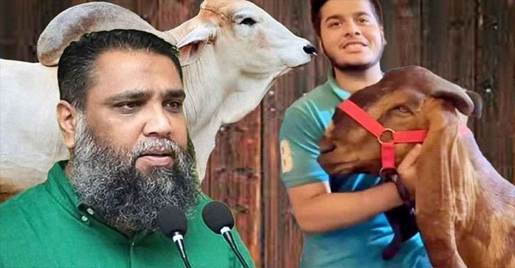 ‘ছাগল কাণ্ডে’ আলোচিত সাদিক এগ্রোর ইমরান গ্রেফতার