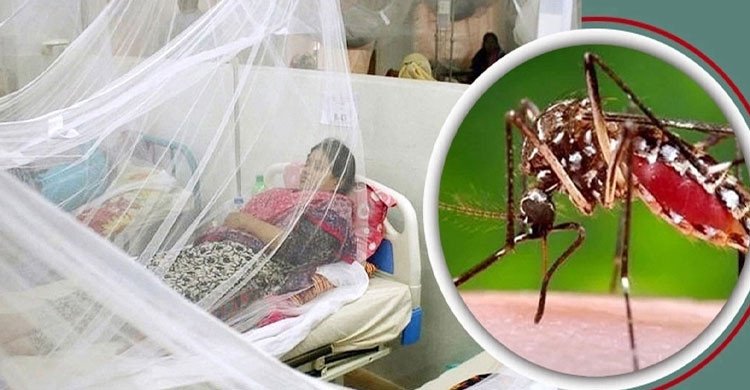 গত ২৪ ঘণ্টায় ডেঙ্গুতে ২ জনের মৃত্যু, আক্রান্ত ৬৭২