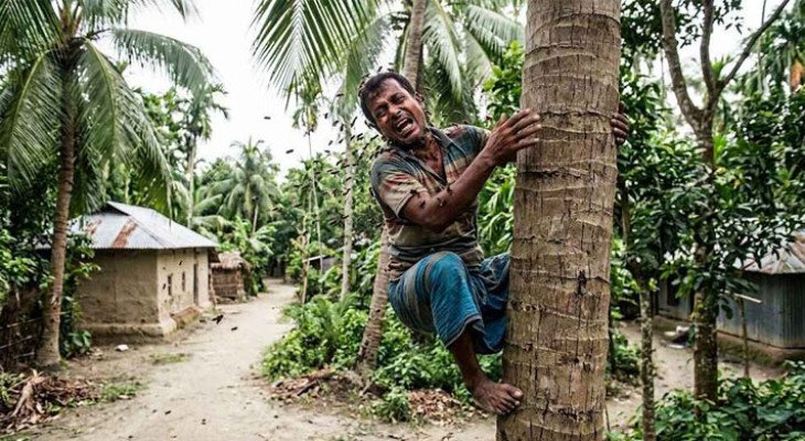 চুরি করতে গিয়ে ভিমরুলের কামড়, জীবন বাঁচাতে ডাকলেন বাড়ির মালিককে